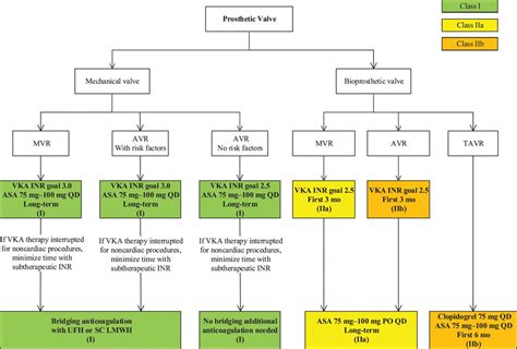 guidelines for lv thrombus anticoagulation.